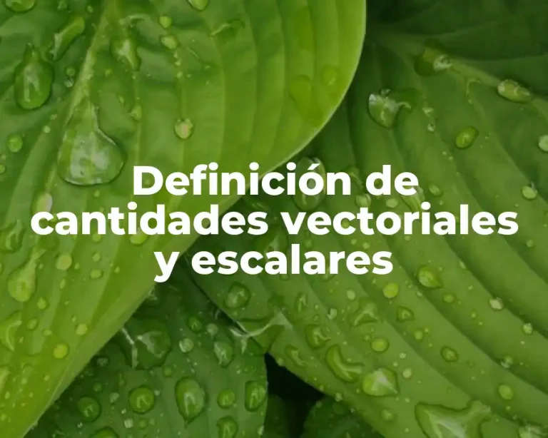 Definición de cantidades vectoriales y escalares