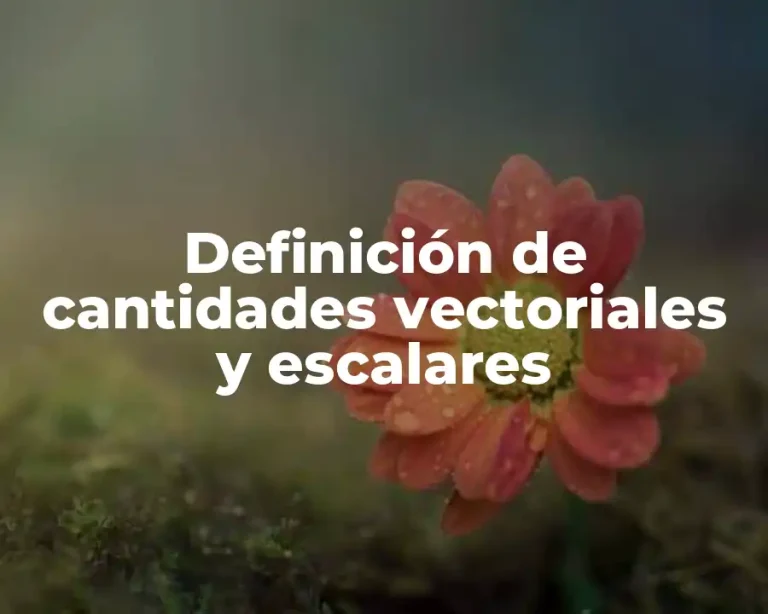 Definición de cantidades vectoriales y escalares