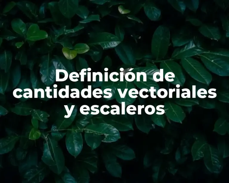 Definición de cantidades vectoriales y escaleros