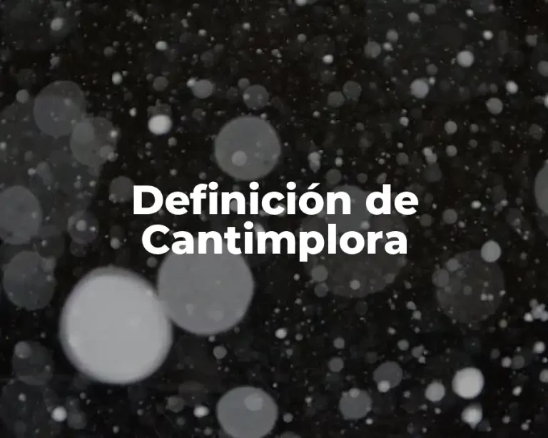 Definición de Cantimplora