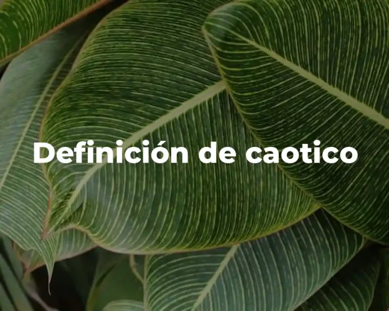 Definición de caotico