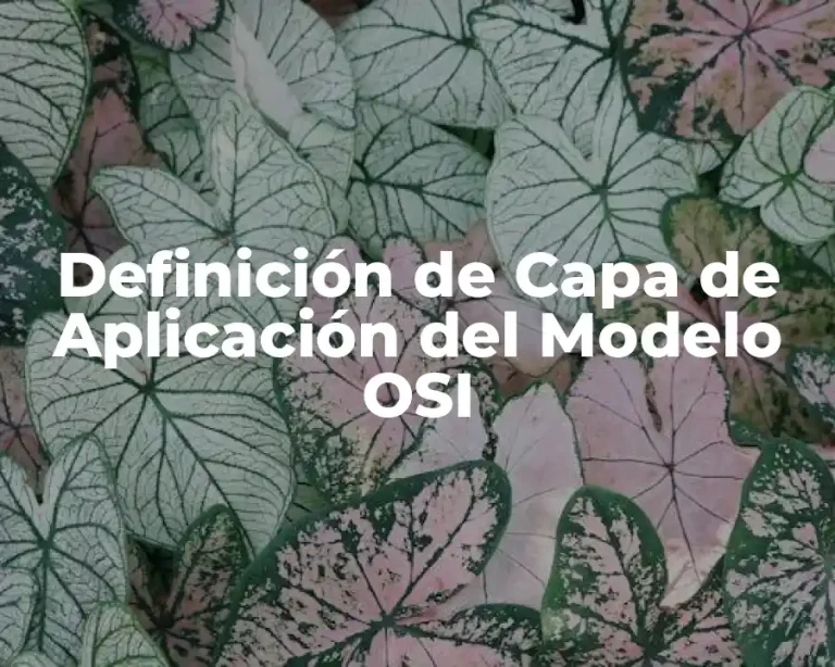 Definición de Capa de Aplicación del Modelo OSI