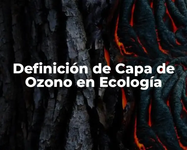 Definición de Capa de Ozono en Ecología