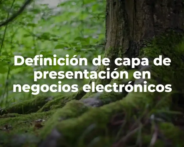 Definición de capa de presentación en negocios electrónicos