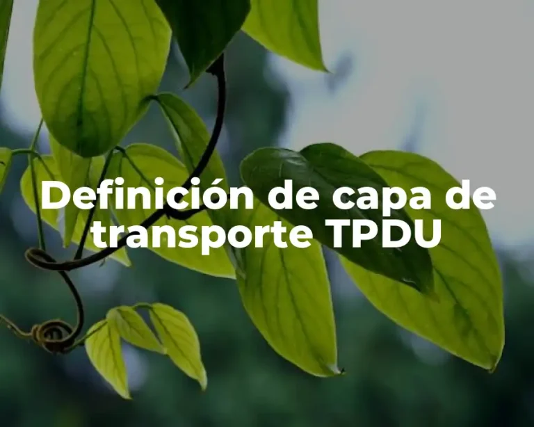 Definición de capa de transporte TPDU