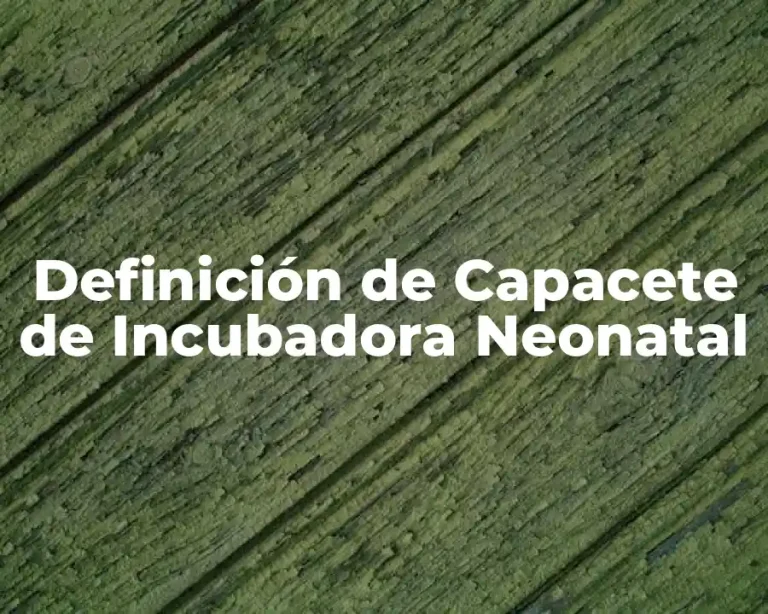 Definición de Capacete de Incubadora Neonatal
