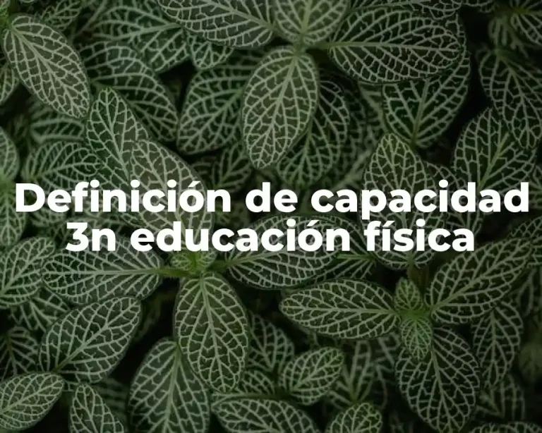 Definición de capacidad 3n educación física