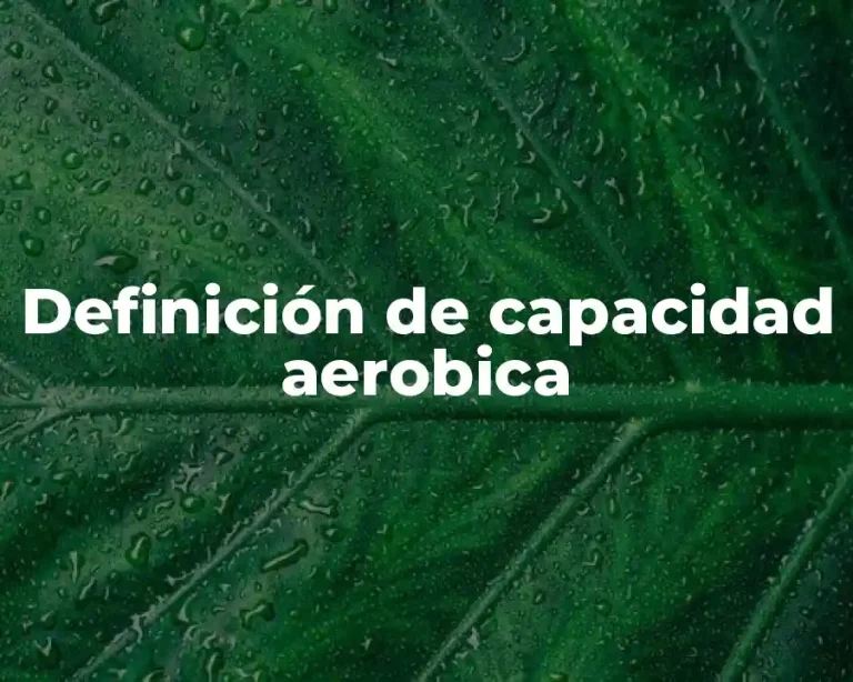 Definición de capacidad aerobica