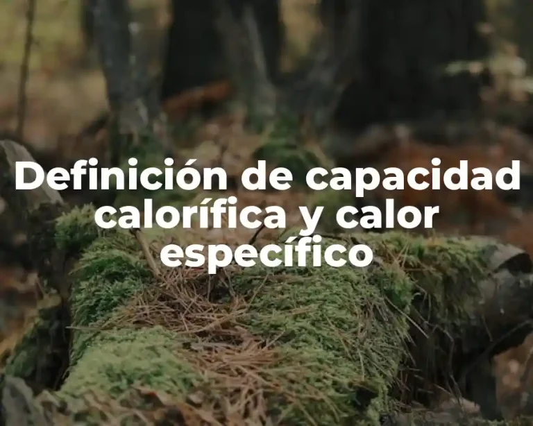 Definición de capacidad calorífica y calor específico