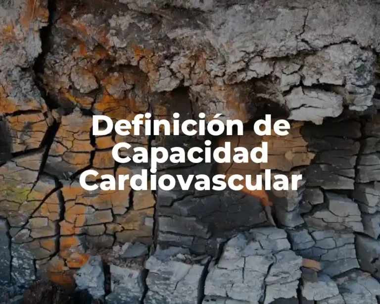 Definición de Capacidad Cardiovascular