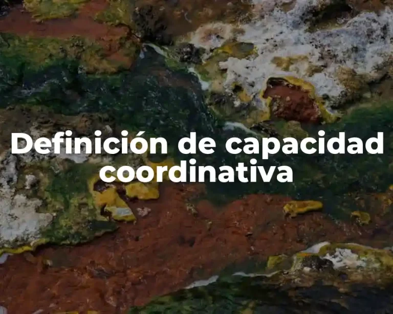 Definición de capacidad coordinativa
