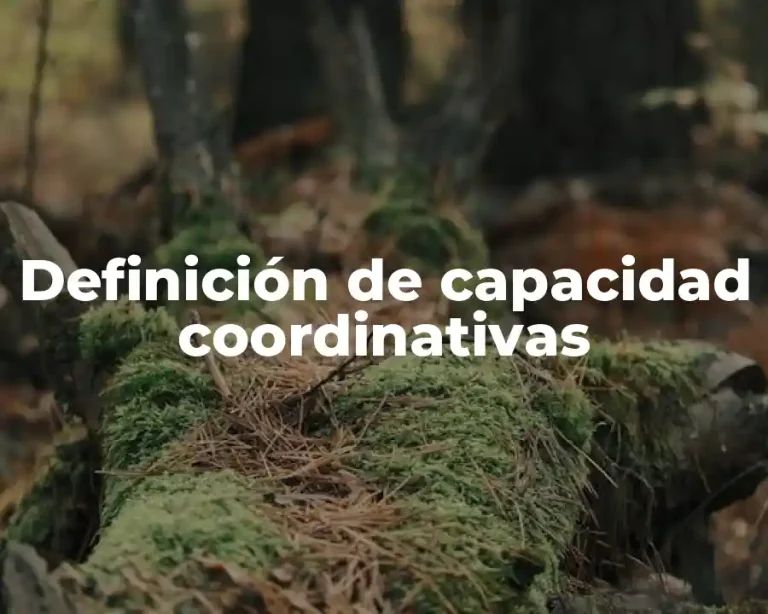 Definición de capacidad coordinativas