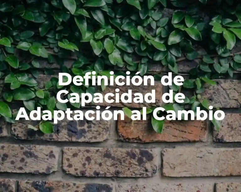 Definición de Capacidad de Adaptación al Cambio