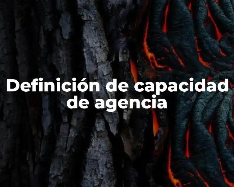 Definición de capacidad de agencia