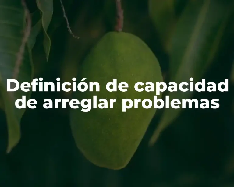 Definición de capacidad de arreglar problemas