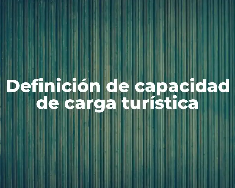 Definición de capacidad de carga turística
