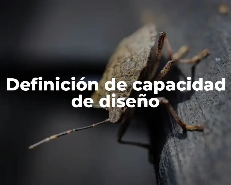 Definición de capacidad de diseño