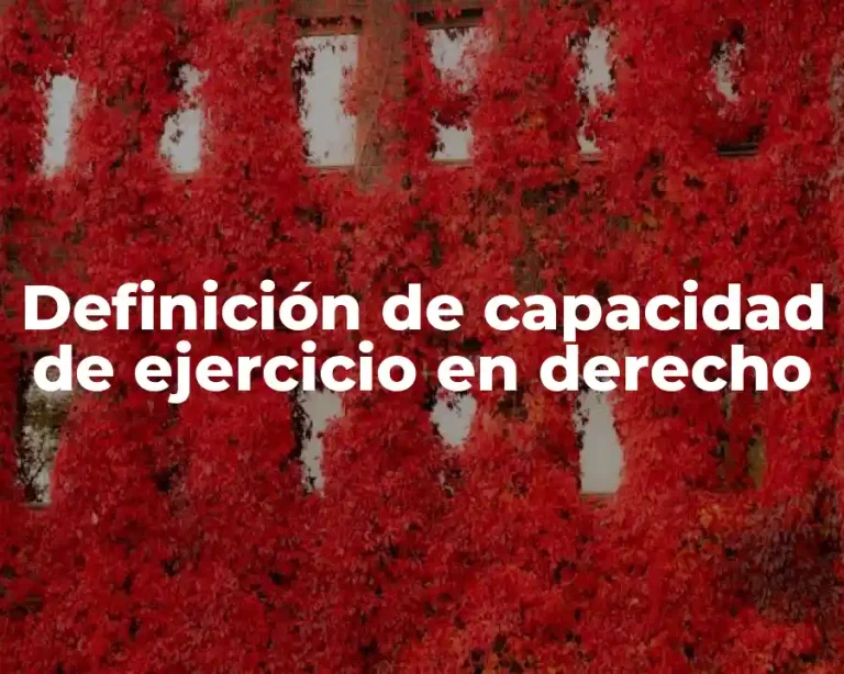 Definición de capacidad de ejercicio en derecho