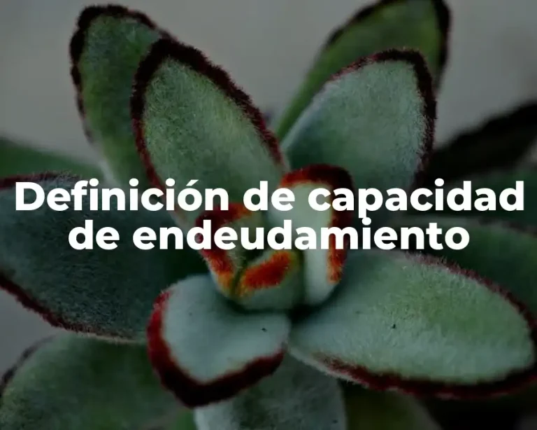Definición de capacidad de endeudamiento