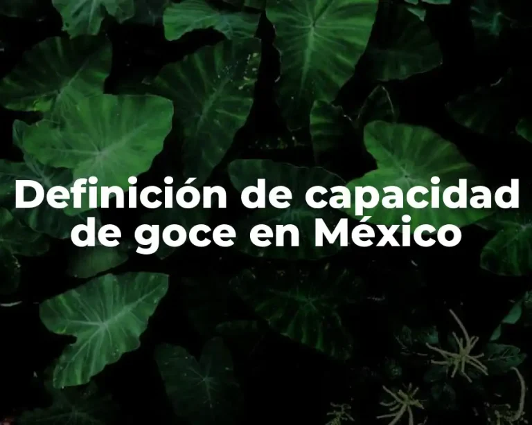 Definición de capacidad de goce en México