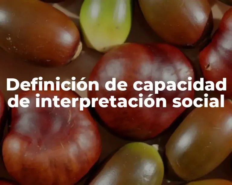 Definición de capacidad de interpretación social