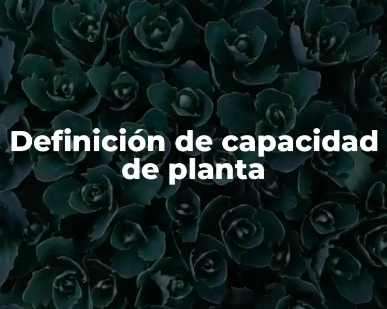 Definición de capacidad de planta