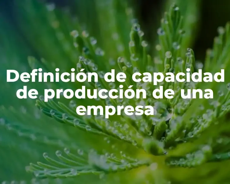 Definición de capacidad de producción de una empresa