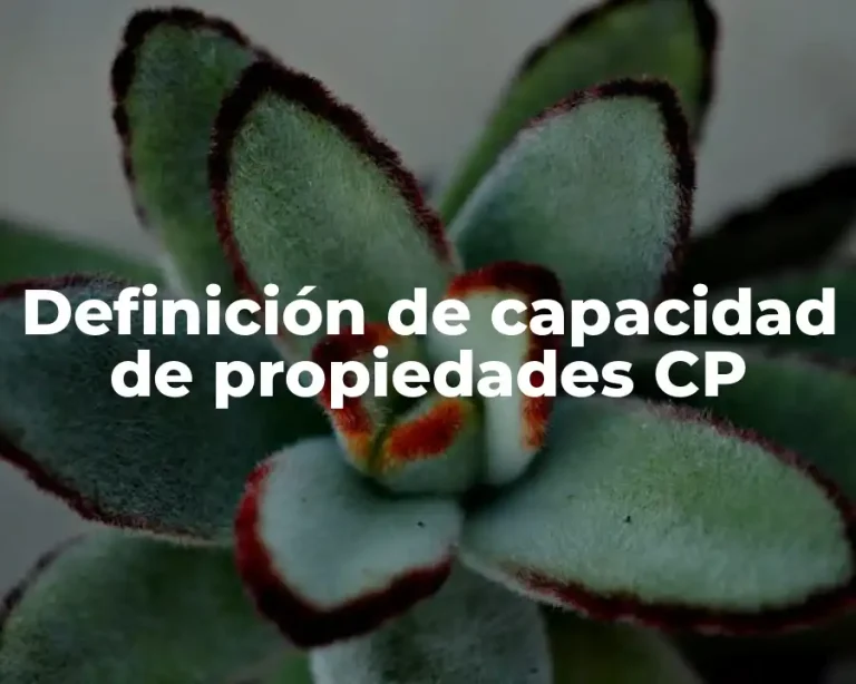 Definición de capacidad de propiedades CP