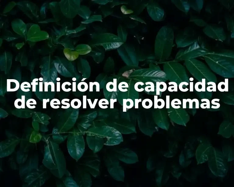 Definición de capacidad de resolver problemas
