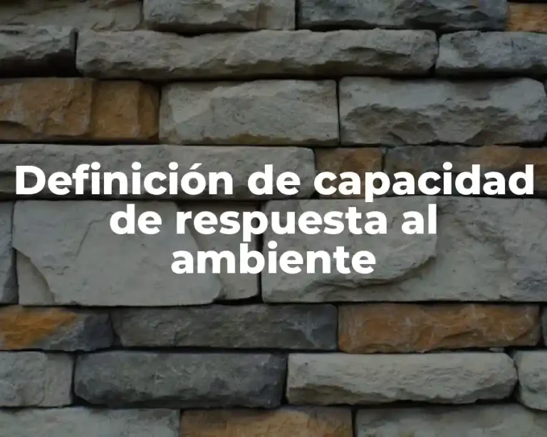 Definición de capacidad de respuesta al ambiente