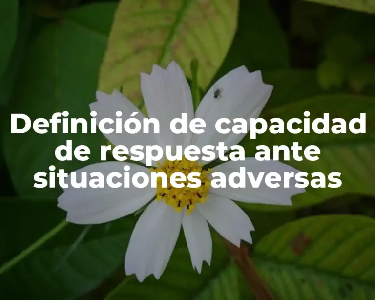 Definición de capacidad de respuesta ante situaciones adversas