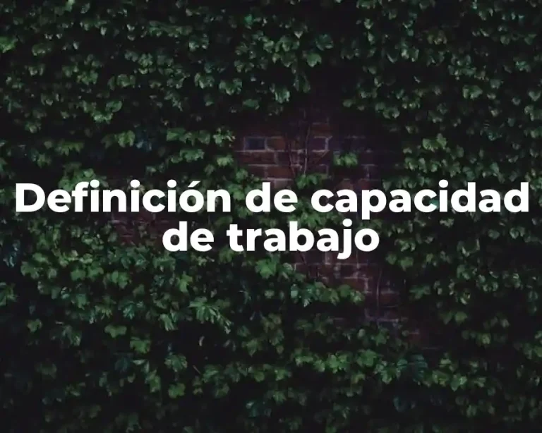 Definición de capacidad de trabajo