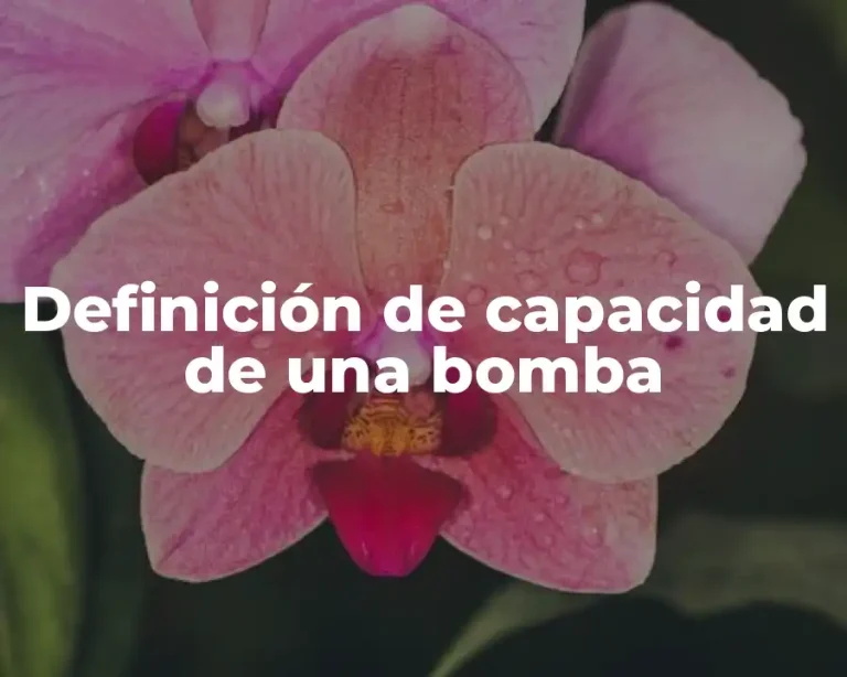 Definición de capacidad de una bomba