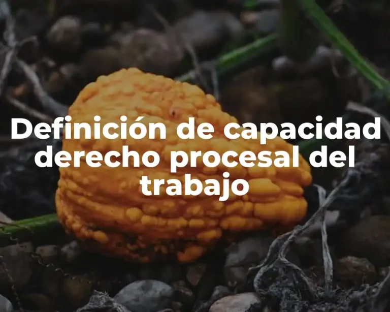 Definición de capacidad derecho procesal del trabajo
