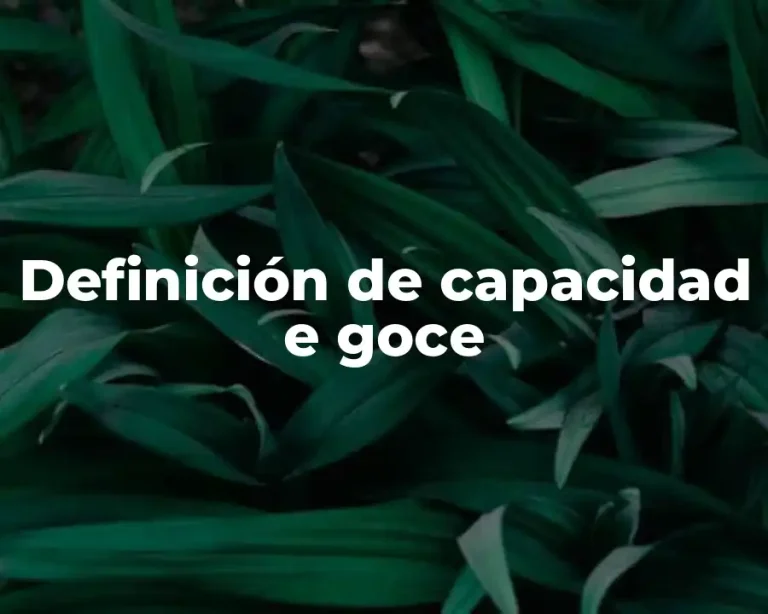 Definición de capacidad e goce