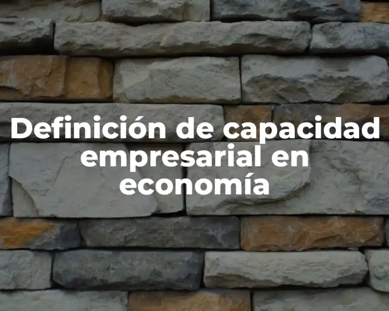 Definición de capacidad empresarial en economía