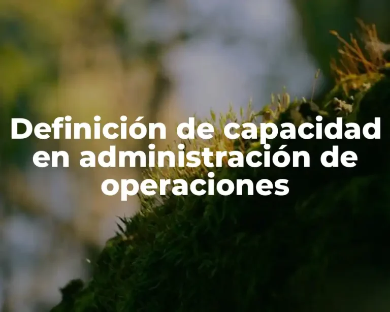 Definición de capacidad en administración de operaciones