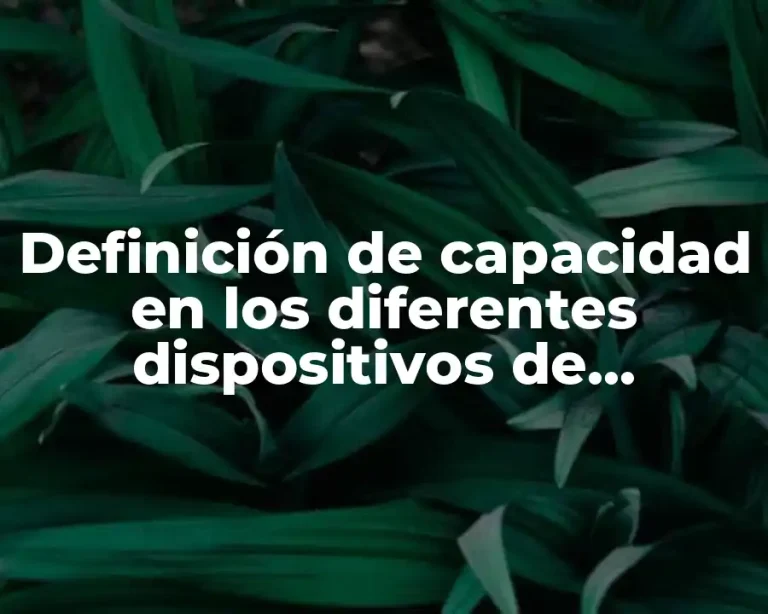 Definición de capacidad en los diferentes dispositivos de almacenamiento