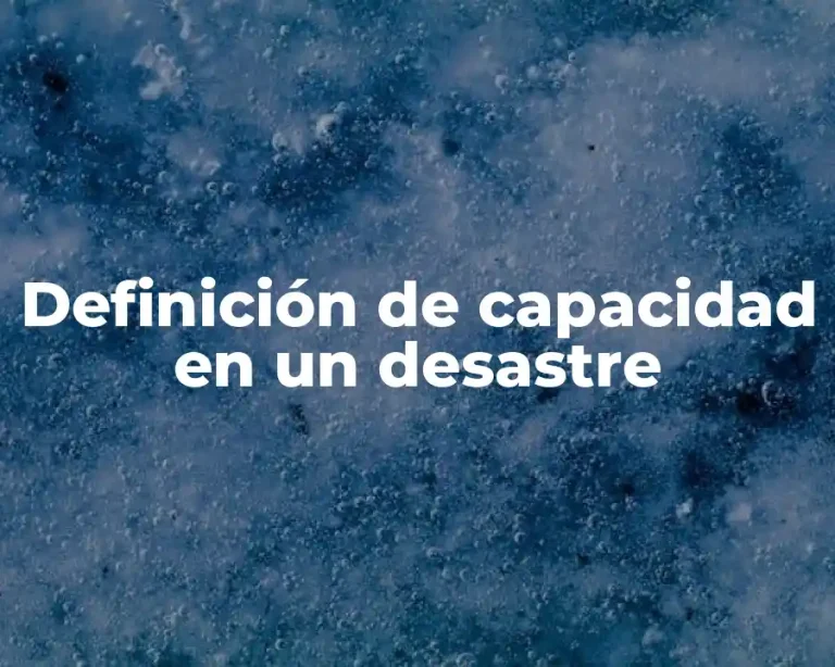 Definición de capacidad en un desastre