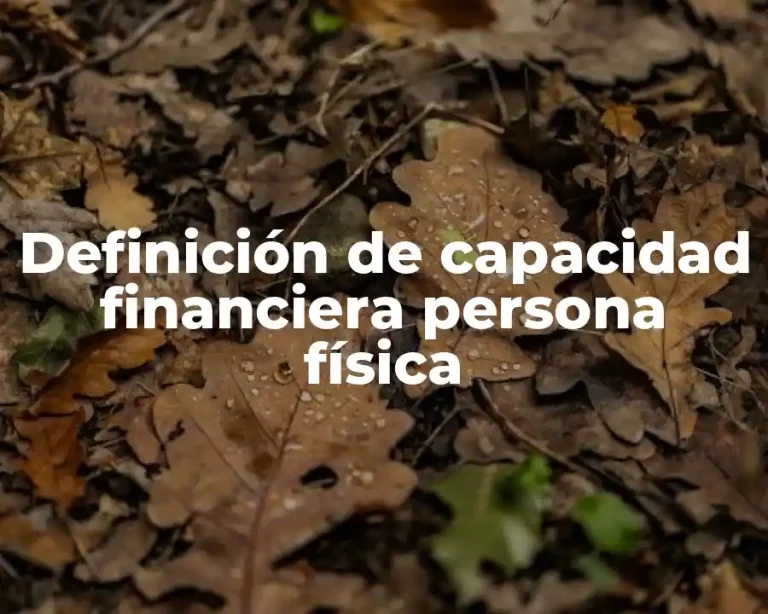 Definición de capacidad financiera persona física