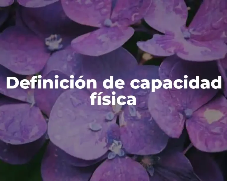 Definición de capacidad física