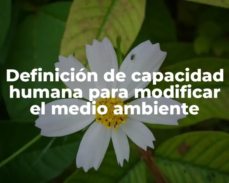 Definición de capacidad humana para modificar el medio ambiente