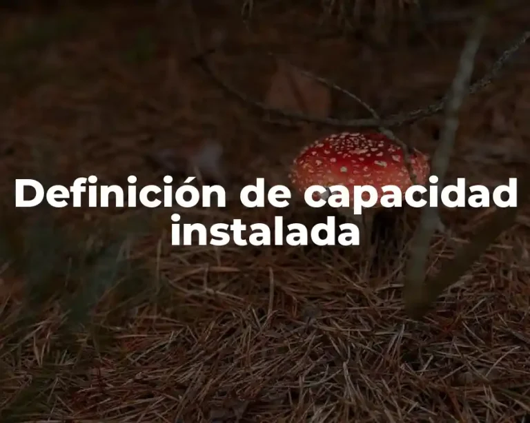Definición de capacidad instalada