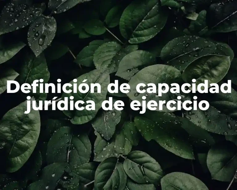 Definición de capacidad jurídica de ejercicio