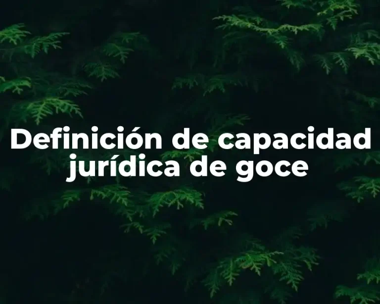 Definición de capacidad jurídica de goce