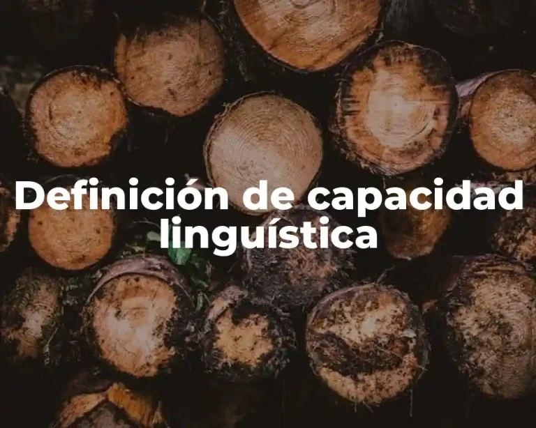 Definición de capacidad linguística