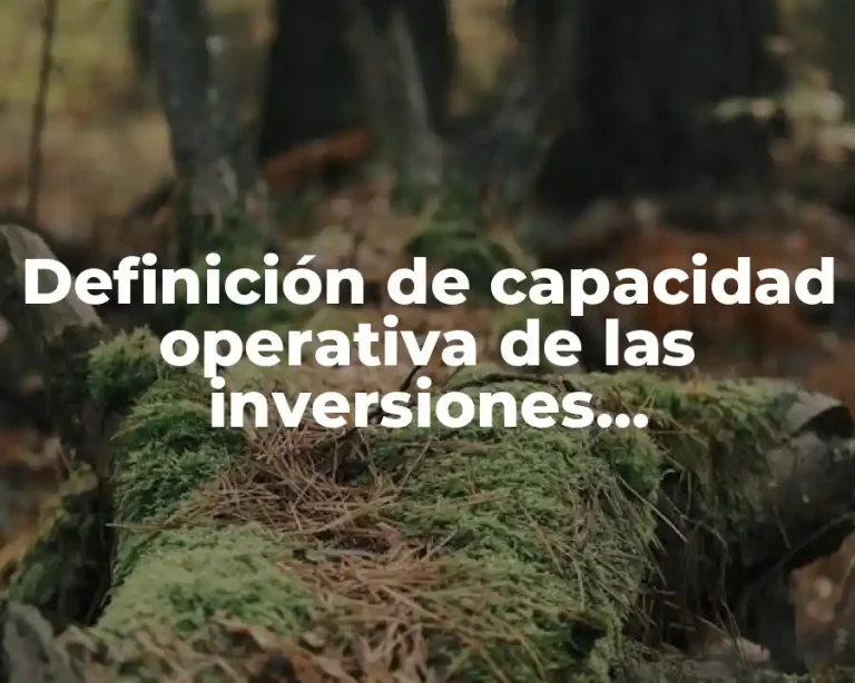 Definición de capacidad operativa de las inversiones permanentes
