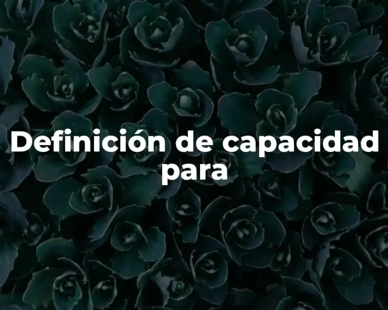 Definición de capacidad para