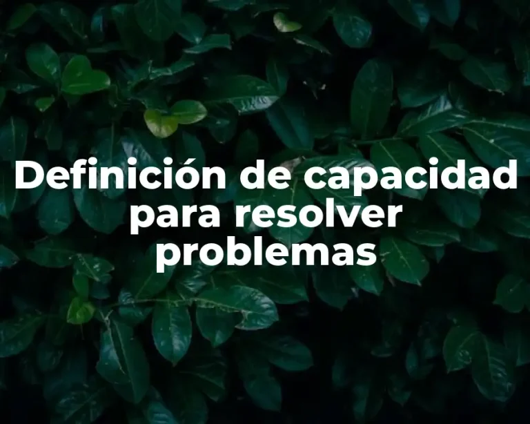 Definición de capacidad para resolver problemas