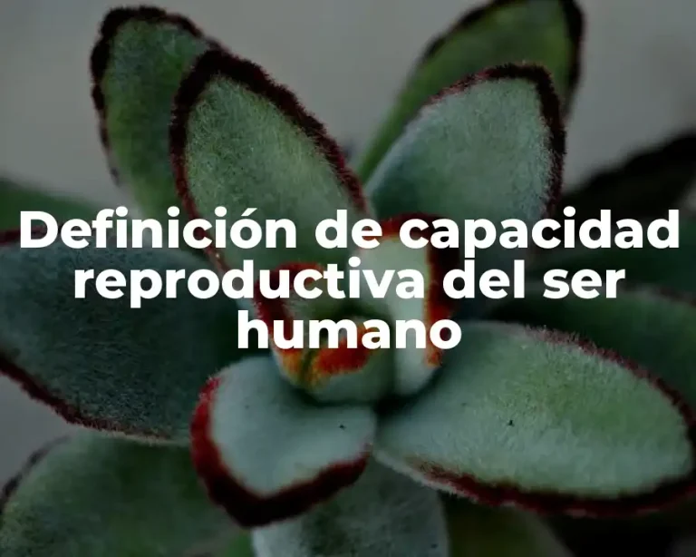 Definición de capacidad reproductiva del ser humano